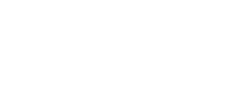 Mimo Limousines